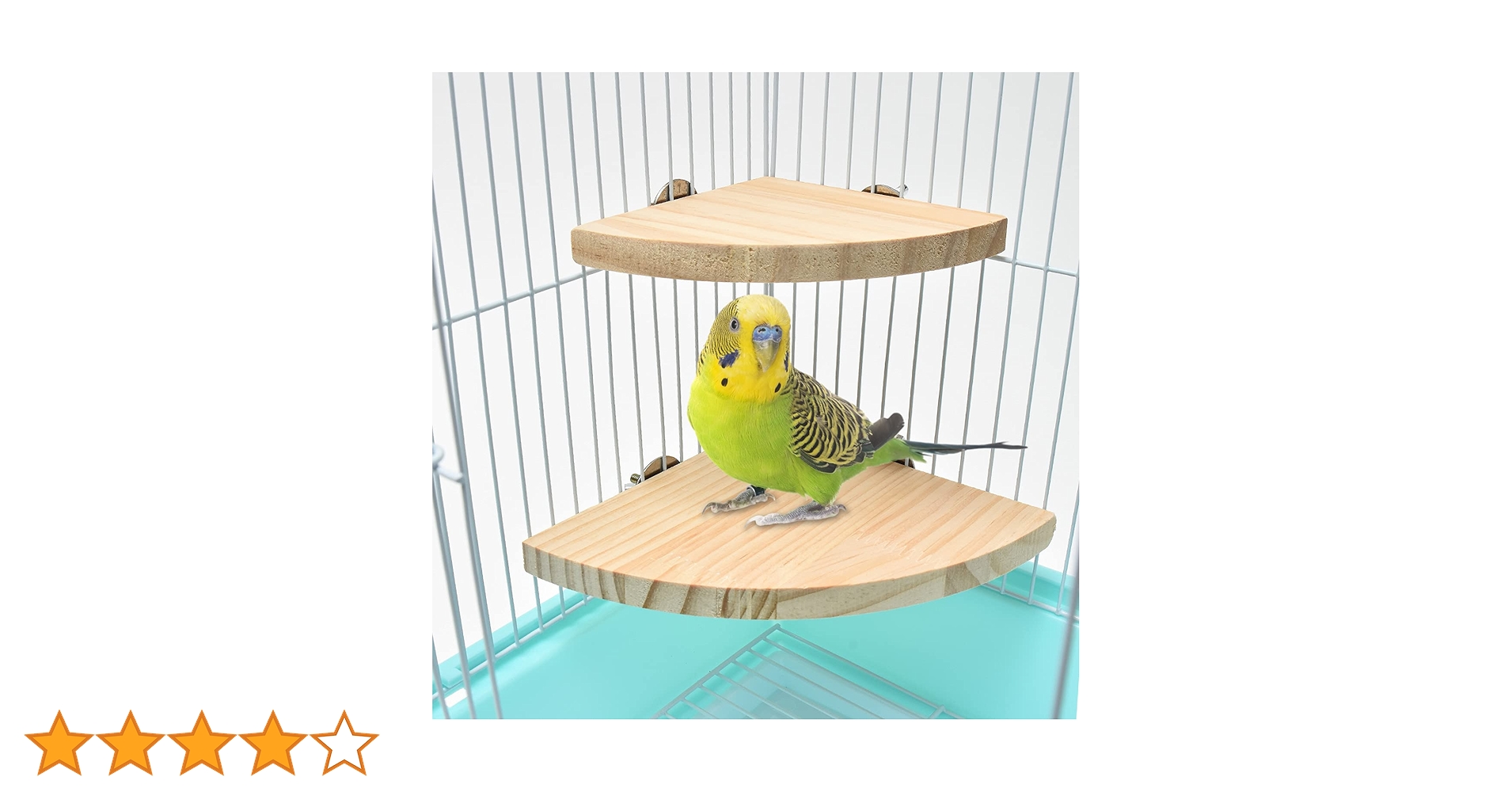 Amazon | 【CS Cutespace cute+space】 インコ とまり木 (2個